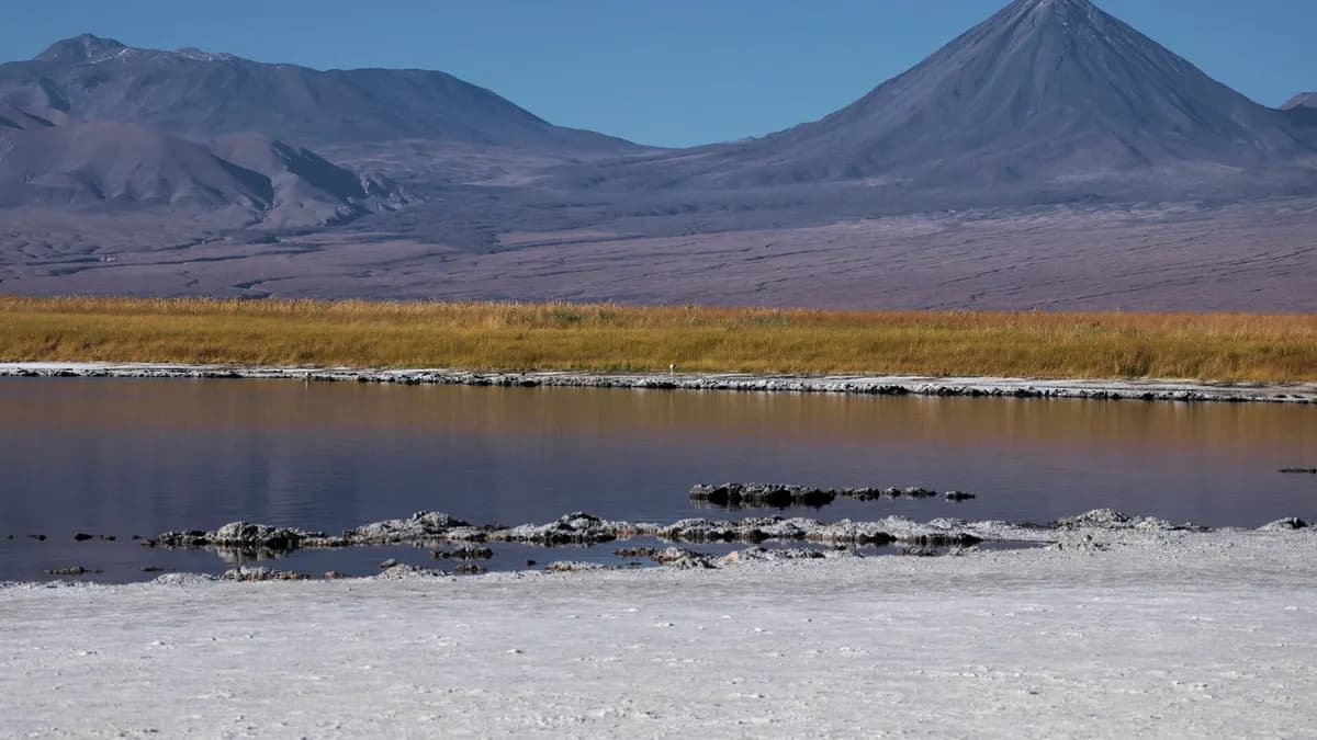 Laguna Cejar 2026: precios, cómo visitarla y en qué laguna se flota