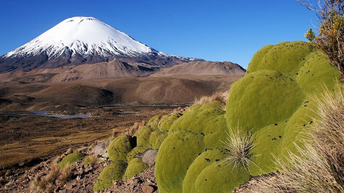 Volcanes más altos de Chile: el top 10 con datos del Smithsonian
