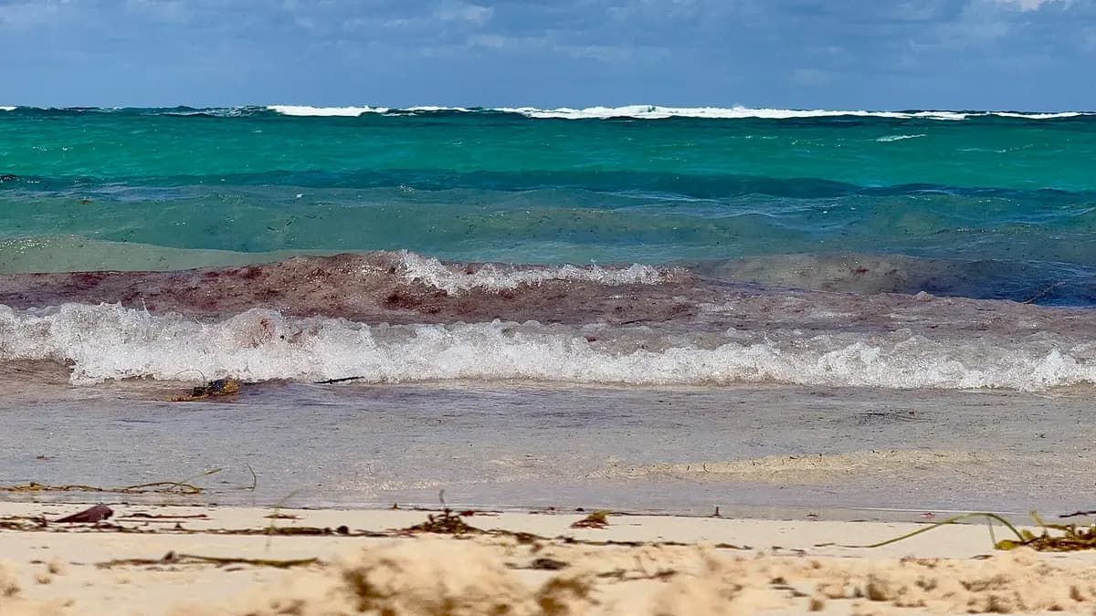 Olas sobre la arena en la playa de Bávaro con mar turquesa