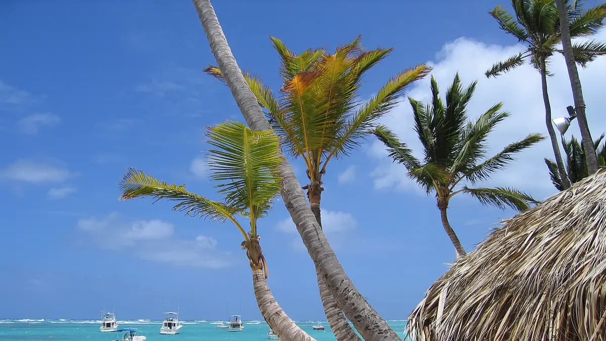 Viajar a Punta Cana desde Chile: el nuevo vuelo directo de SKY, requisitos y mejor época