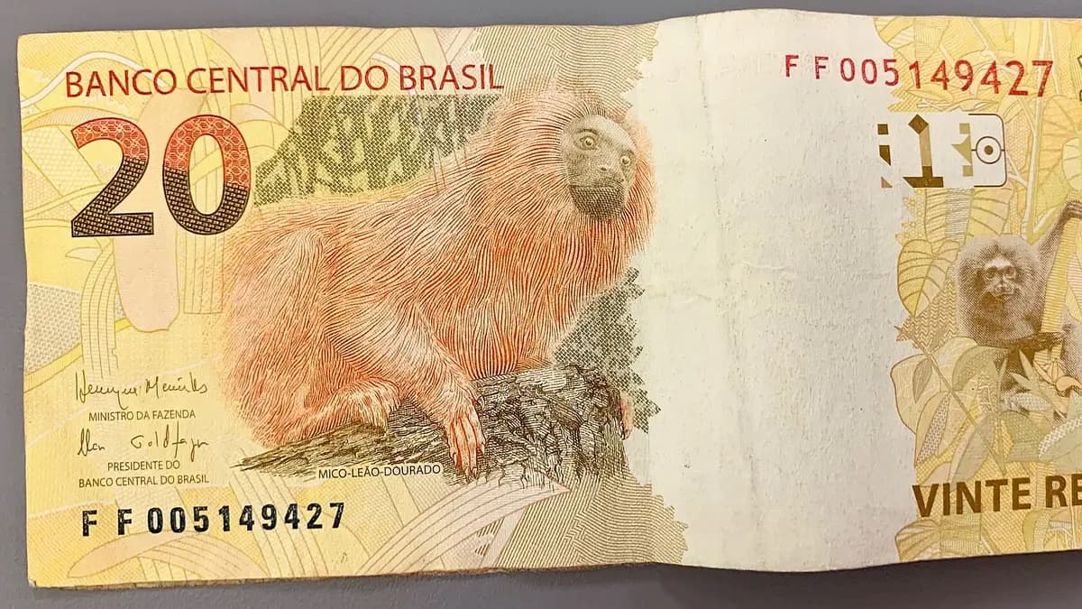 El real brasileño cae tras la elección y Brasil queda 6,6% más barato para los chilenos