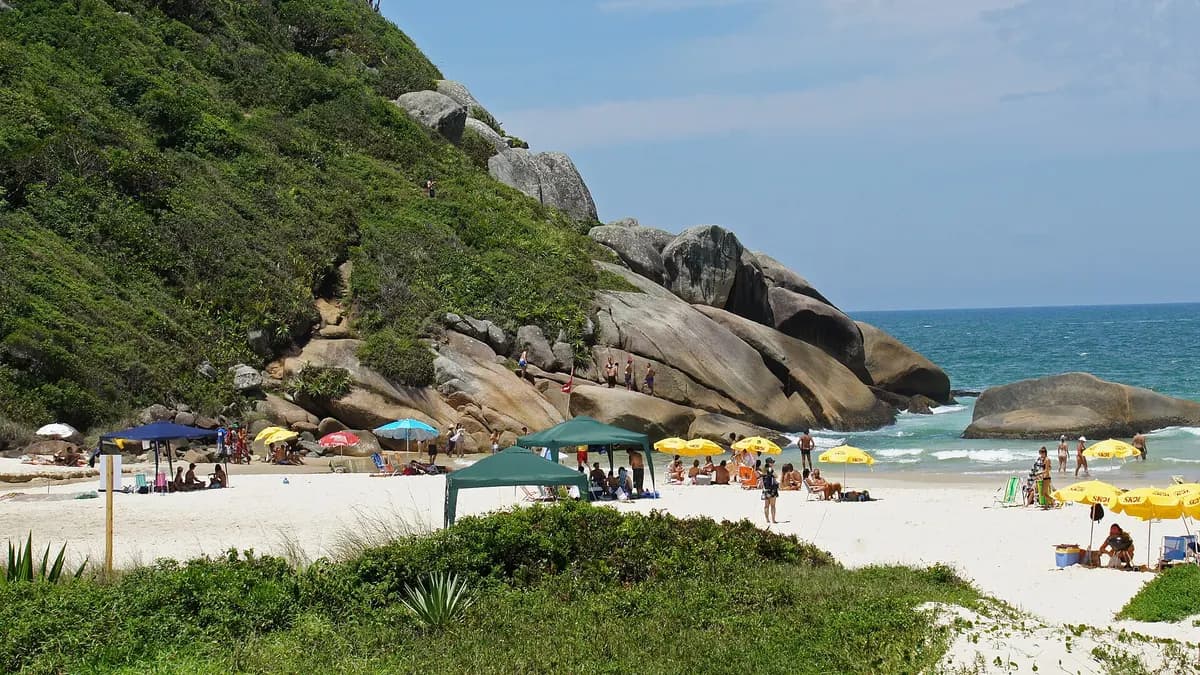 Playa Brava en Florianópolis con edificios frente al mar y cerros verdes