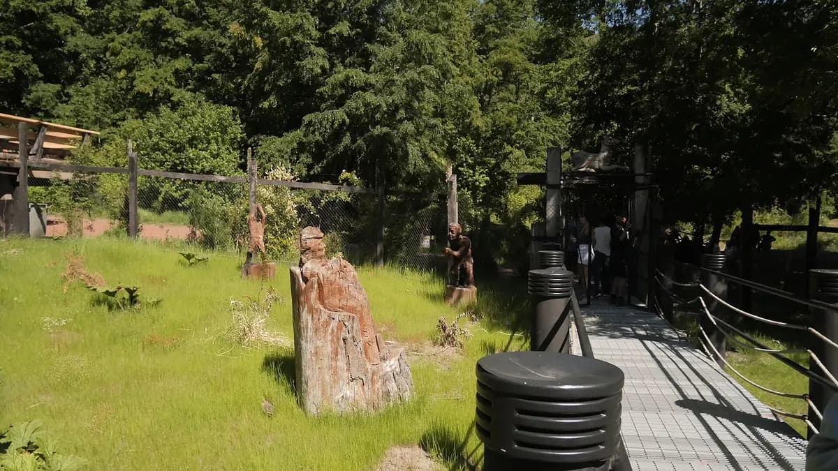 Sendero de tablas de madera con figuras talladas entre árboles en Huilo Huilo