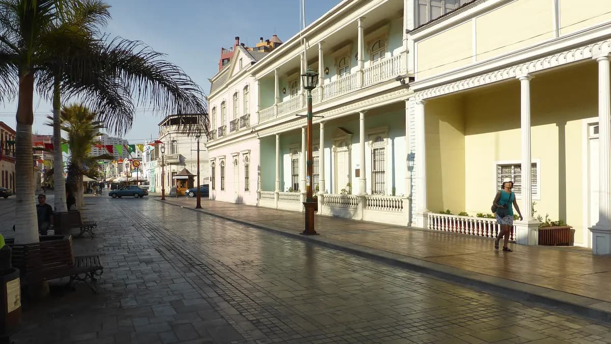 Fachadas de madera estilo georgiano y palmeras a lo largo del paseo Baquedano