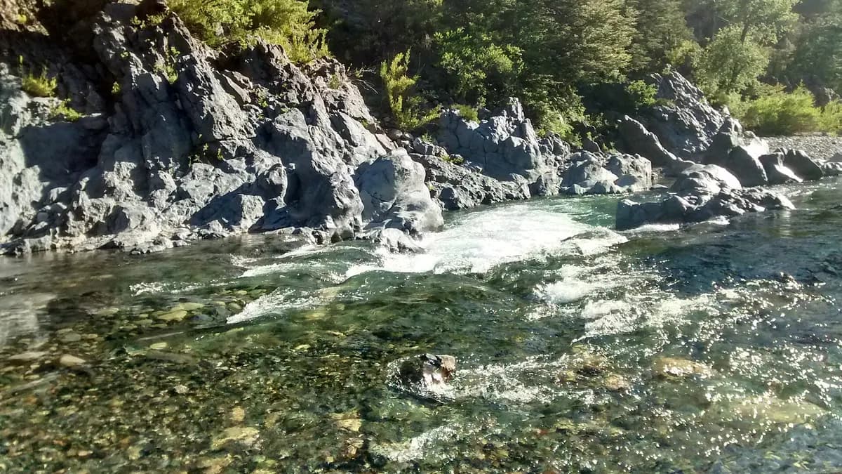 Agua del río Claro abriéndose paso entre bloques oscuros y vegetación nativa