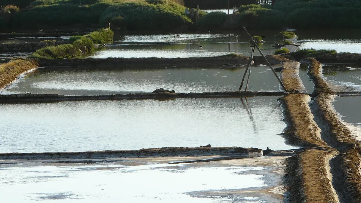 Pozas de evaporación separadas por bordes de barro en las salinas de Cáhuil