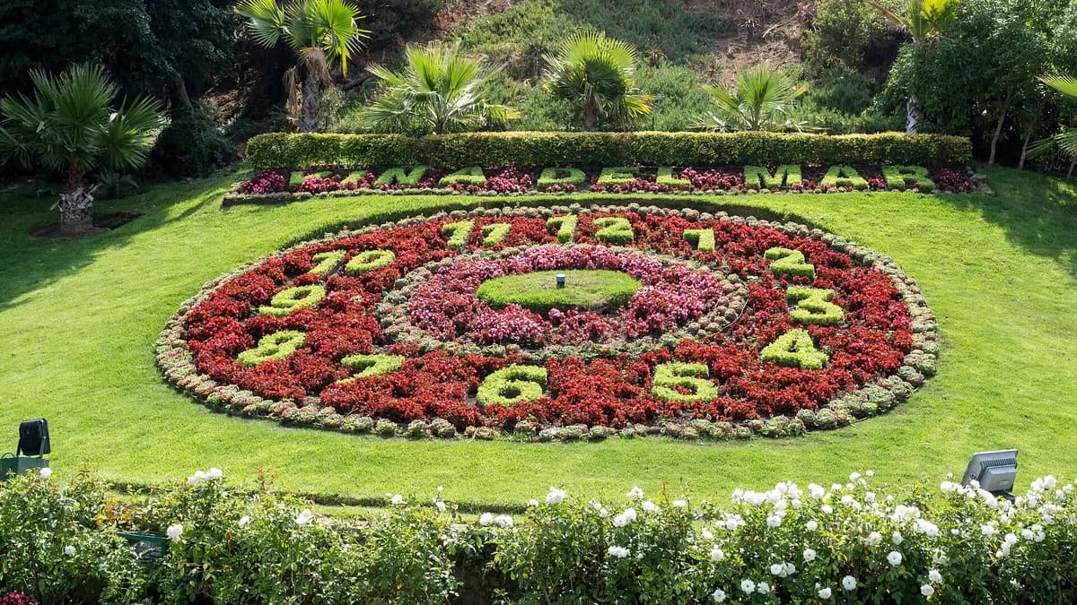 Qué hacer en Viña del Mar: qué ver en la ciudad jardín, sus palacios y playas