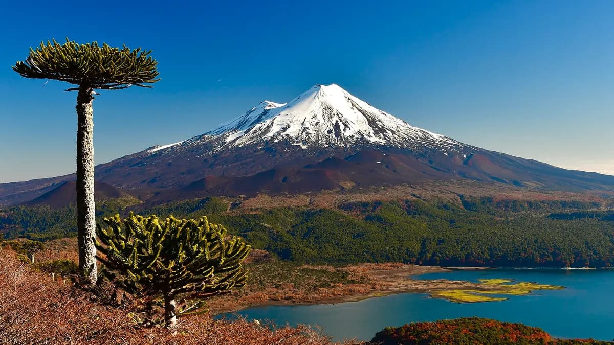 El Llaima cubierto de nieve reflejado sobre la laguna Conguillío
